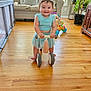 toddler, child, scooter, toy, indoor, flooring, wooden_floor, smile, happy, play, living_room, couch, pillow, plant, furniture, window, curtain, clothing, barefoot, person