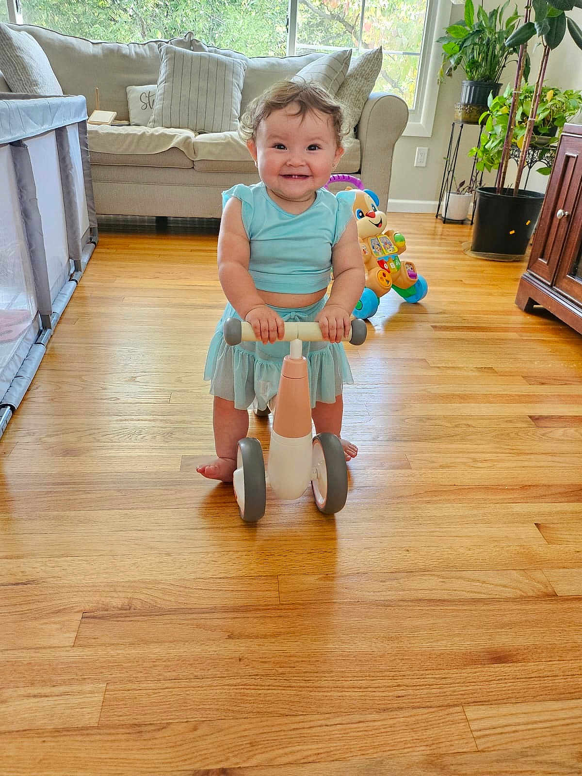 Ophelia joined the competition — help win amazing prizes! toddler, child, scooter, toy, indoor, flooring, wooden_floor, smile, happy, play, living_room, couch, pillow, plant, furniture, window, curtain, clothing, barefoot, person