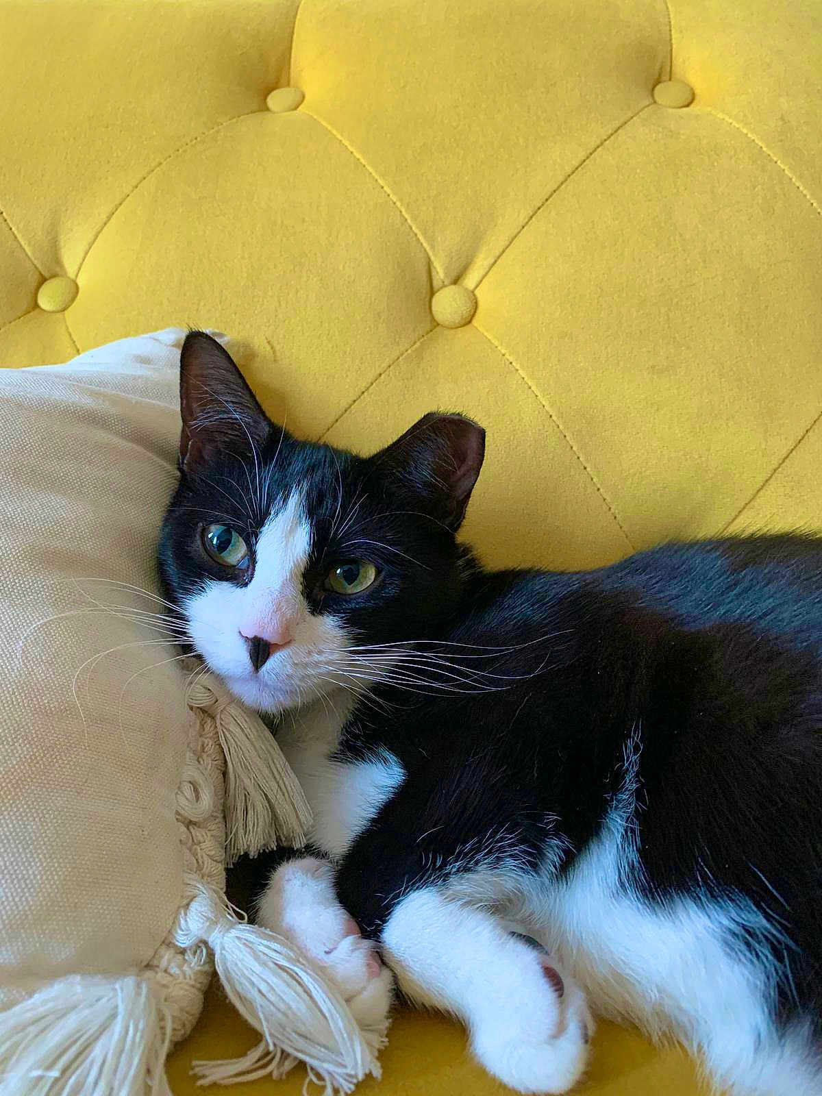 Luna