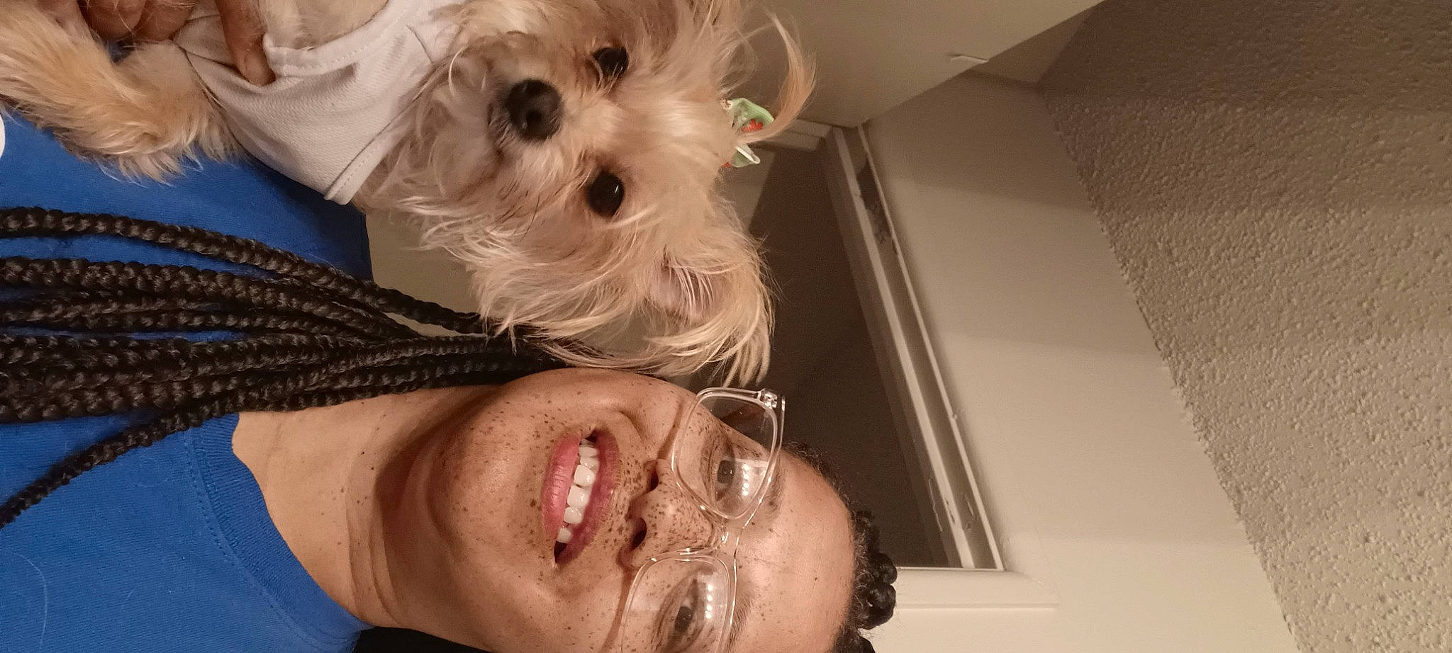 Coco Chanel is registered to the contest to win money with this photo: carnivore, companion_dog, dog, dog_breed, ear, eye, eyebrow, eyelash, eyewear, fawn, gesture, hair, happy, headgear, jaw, mouth, neck, nose, skin, smile