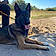 Tayson