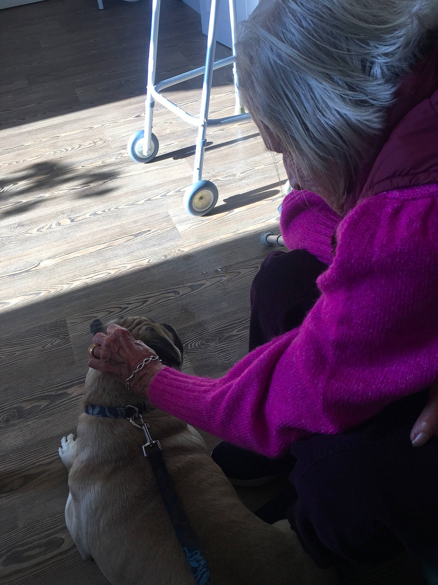 Charlie is registered to the contest to win money with this photo: asphalt, child, city, electric_blue, flooring, fun, glass, human_leg, leisure, magenta, nail, purple, recreation, road_surface, shadow, sidewalk, sitting, tints_and_shades, winter, wood