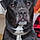 Remington