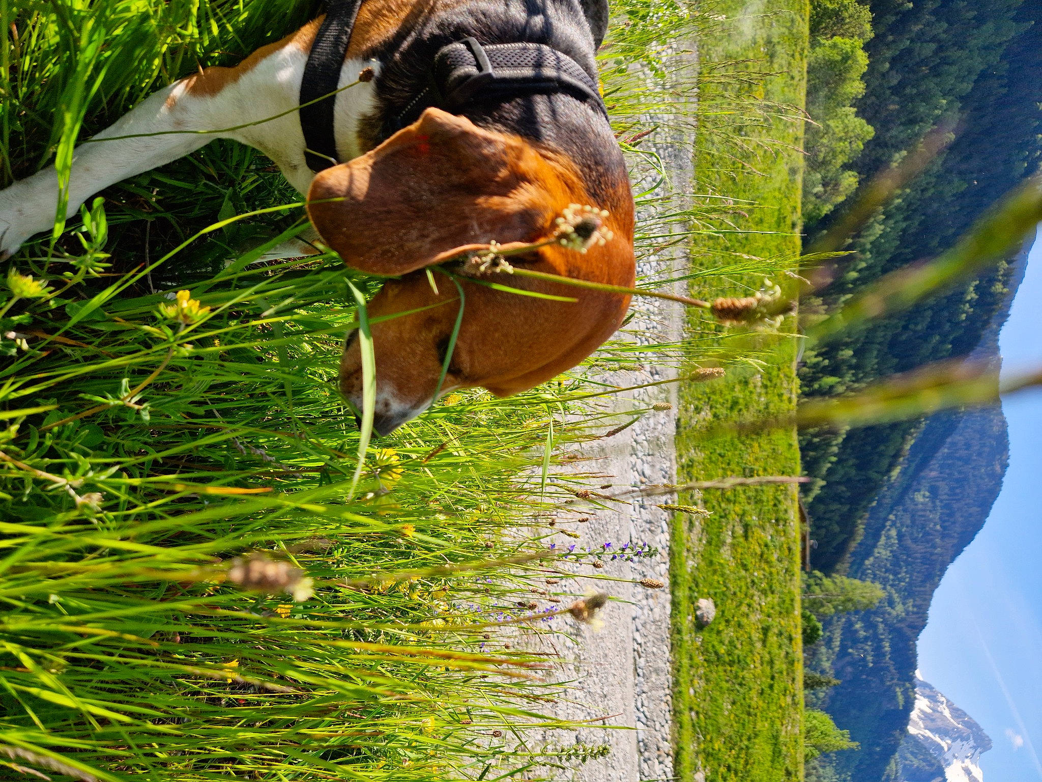 Malcolm a rejoint le concours — aidez-le/la à gagner de superbes lots ! adventure, beak, forest, grass, hat, jungle, landscape, leaf, people_in_nature, plant, plant_stem, sky, sporting_group, terrestrial_animal, terrestrial_plant, tree, trunk, vegetation, wildlife, wood