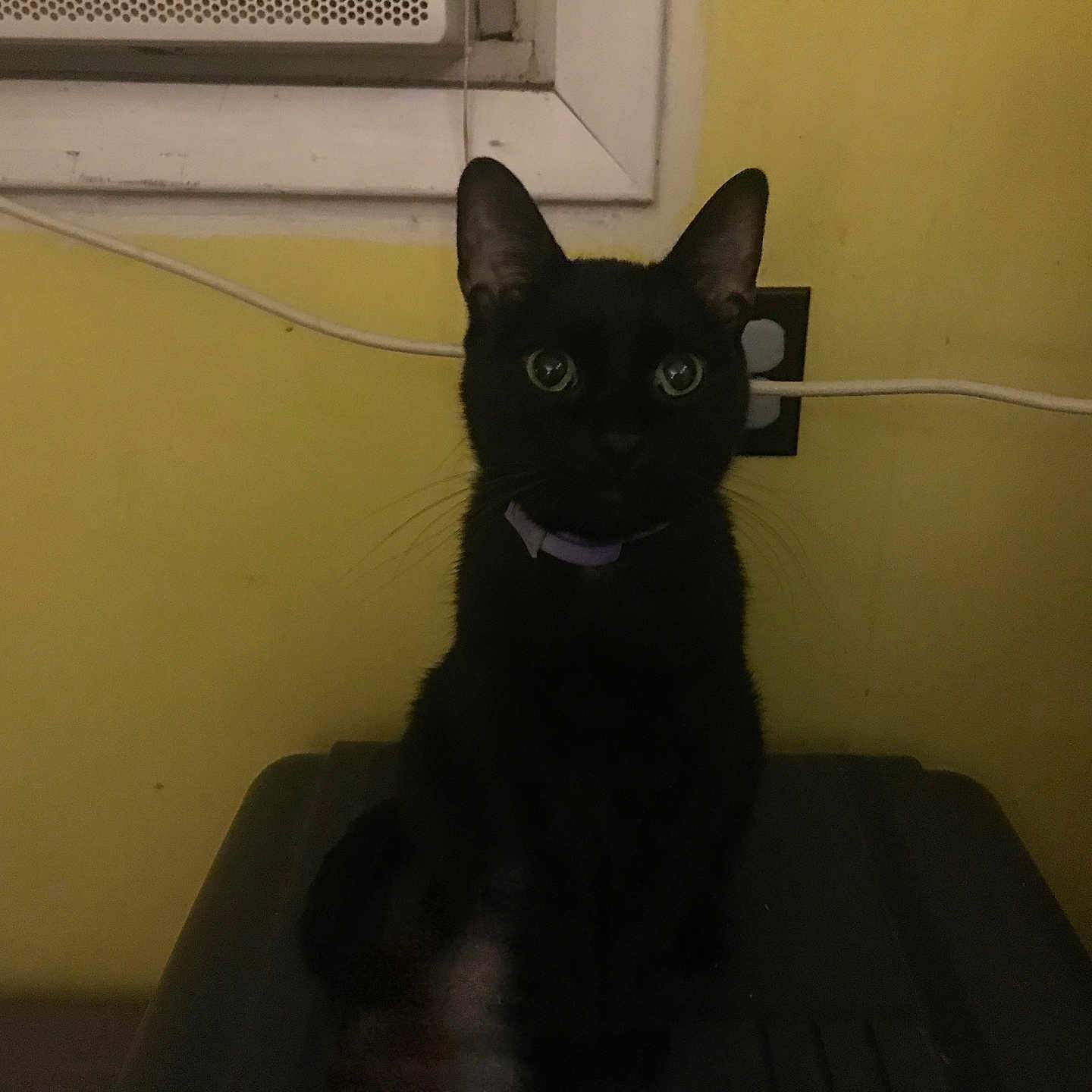 Binx