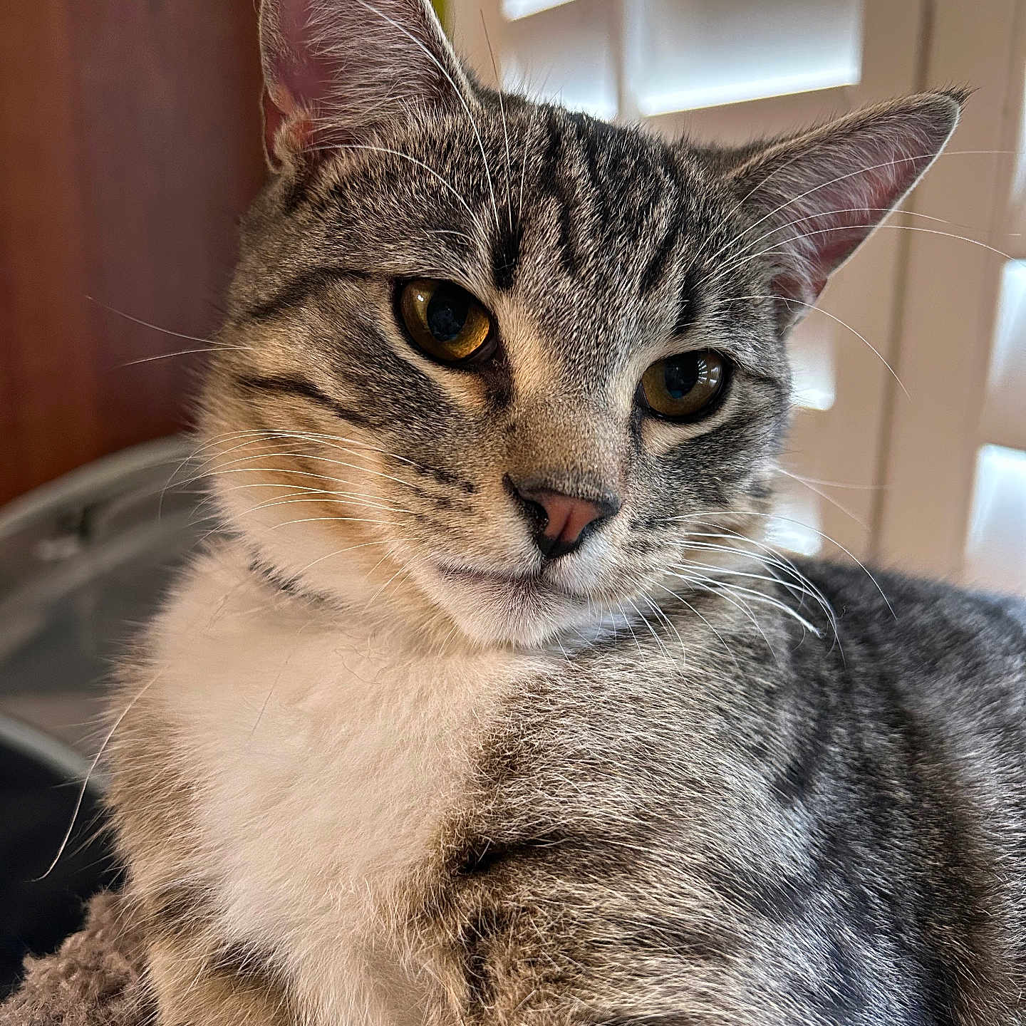 Errol