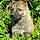 Jerry Lee