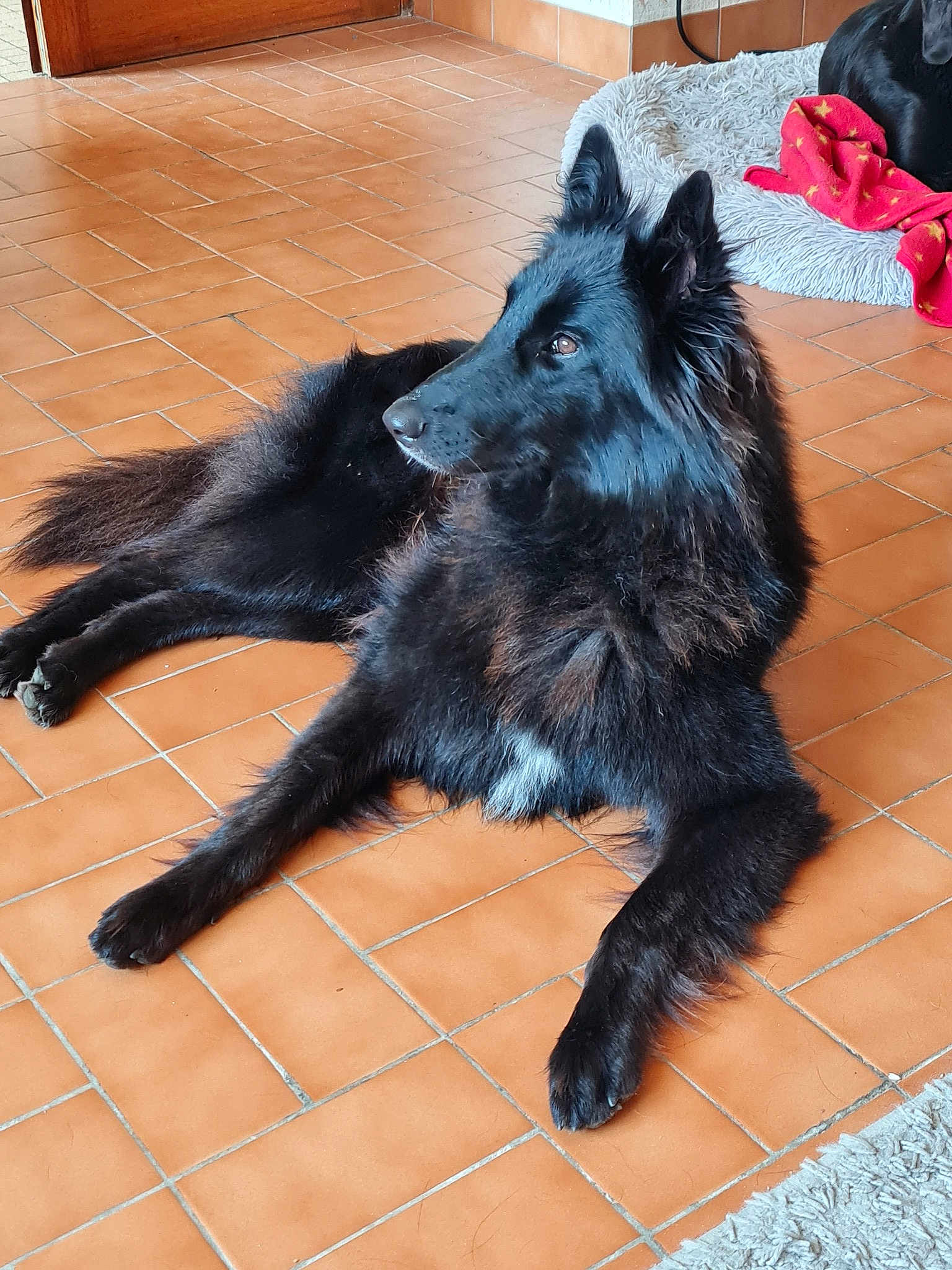 Ruby