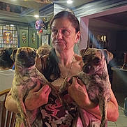 Harley joined the competition — help win amazing prizes! woman, dog, indoor, holding, brindle, pets, people, furniture, decorations, lighting, chair, table, mask, bottle, hair, clothing, portrait, hand, expression, kitchen