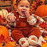 baby, child, infant, smiling, happy, autumn, fall, pumpkin, pumpkins, leaves, orange, bow, headband, overalls, corduroy, blanket, portrait, sitting, seasonal, cozy