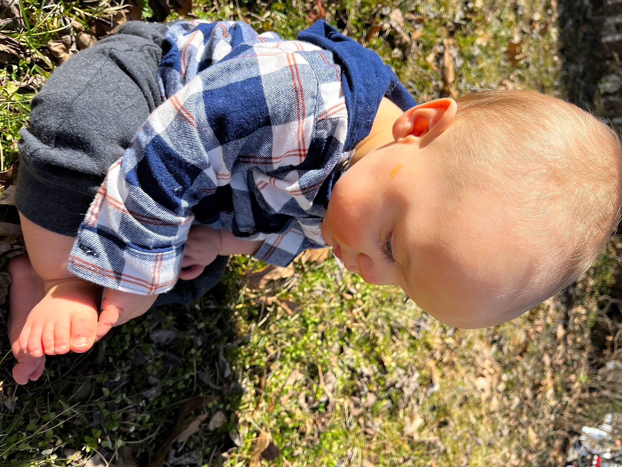 River joined the competition — help win amazing prizes! abdomen, adaptation, botany, chest, child, eyewear, finger, grass, grass_family, grassland, happy, human_leg, pattern, people_in_nature, person, plaid, plant, soil, t_shirt, trunk