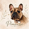 dog, french_bulldog, pet, portrait, collar, tag, ears, brown, face, cute, animal, whiskers, fur, nose, eyes, illustration, leaves, sparkles, text_overlay, name