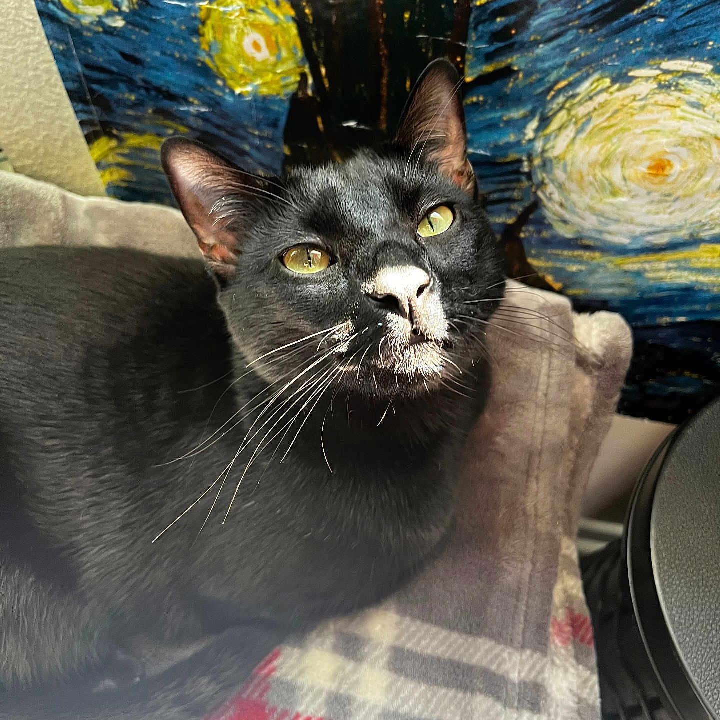 Margarita