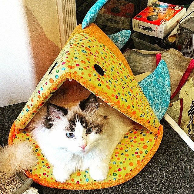 Bastet is registered to the contest to win money with this photo: art, carnivore, cat, comfort, costume_hat, craft, creative_arts, domestic_short_haired_cat, fashion_accessory, fawn, felidae, fur, hat, linens, pattern, small_to_medium_sized_cats, tail, vertebrate, whiskers, wood