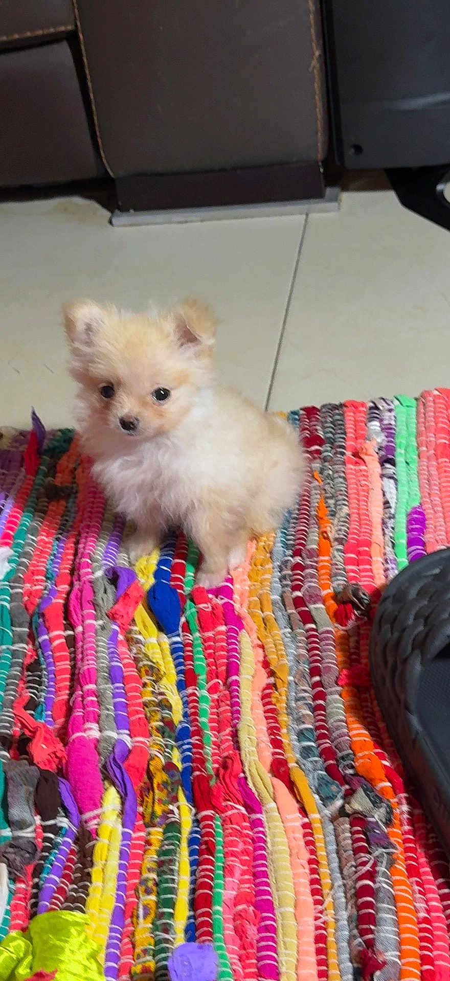 Paco
