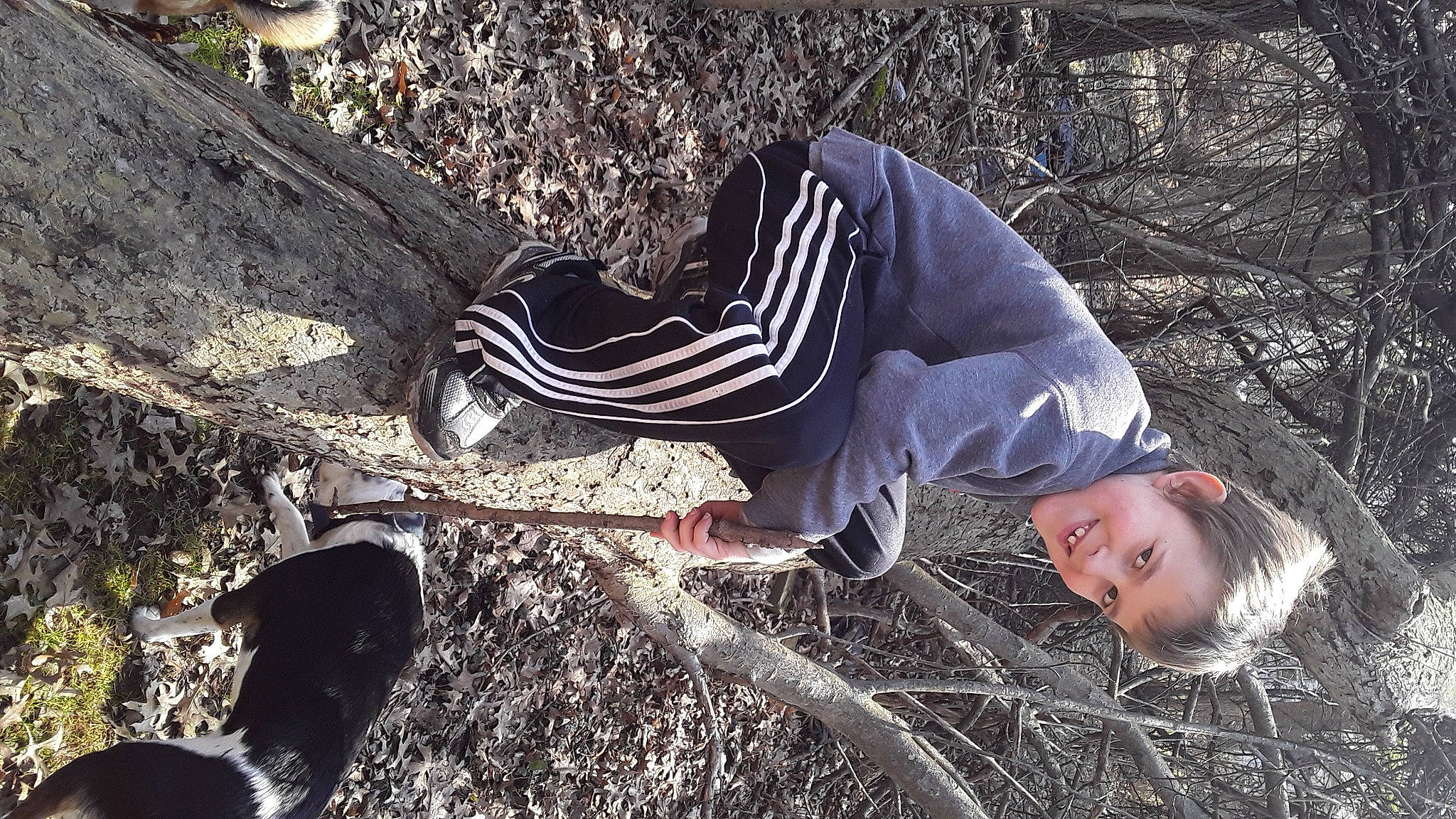 Tanner is registered to the contest to win money with this photo: forest, freezing, fun, grass, happy, human_leg, joy, landscape, leisure, people_in_nature, person, shadow, sitting, smile, soil, sunglasses, sunlight, tree, trunk, winter