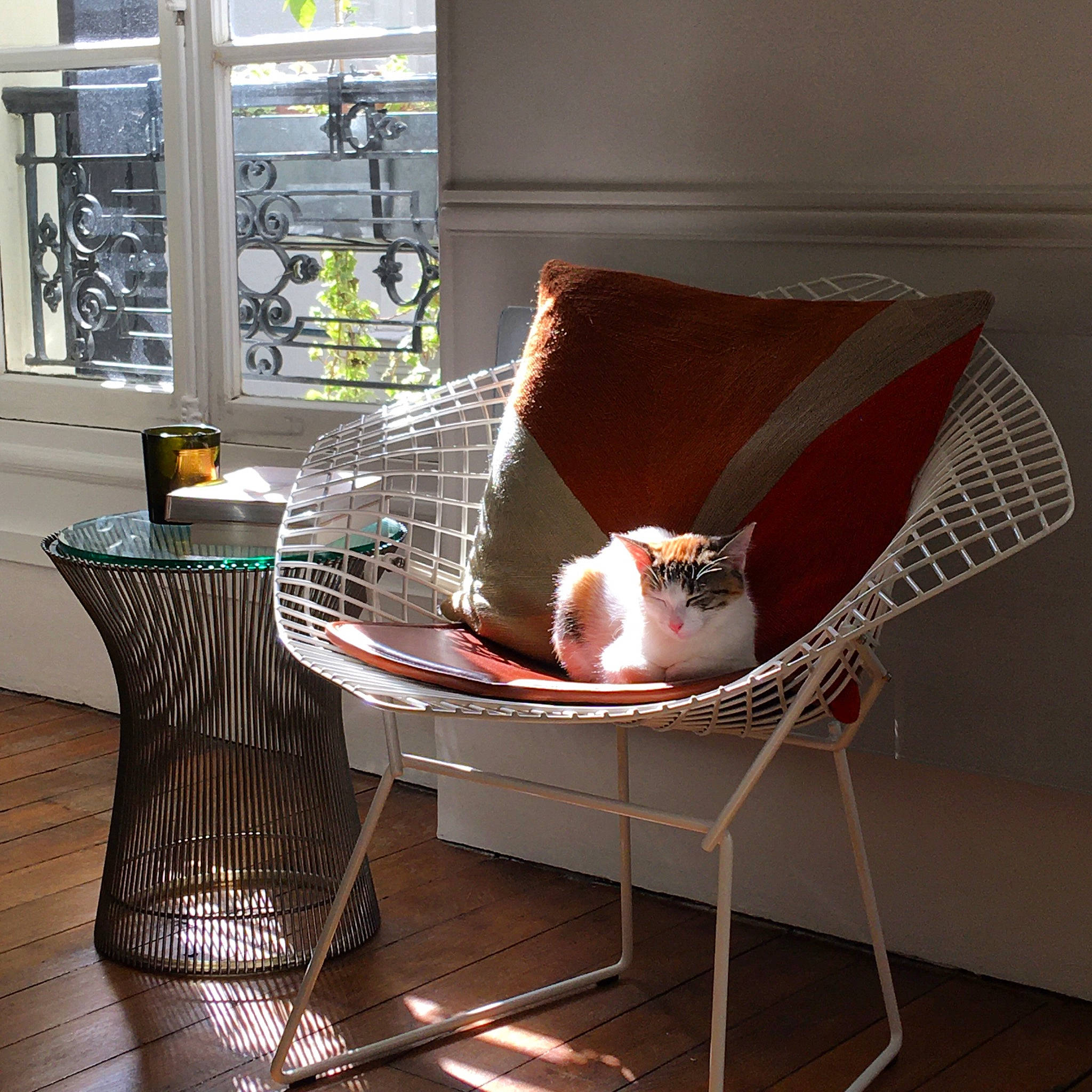 Sofia participe au concours pour gagner de l'argent avec cette photo : armrest, chair, comfort, flooring, furniture, hardwood, interior_design, linens, living_room, outdoor_furniture, pattern, pet_supply, pillow, rectangle, room, textile, throw_pillow, tints_and_shades, wicker, wood