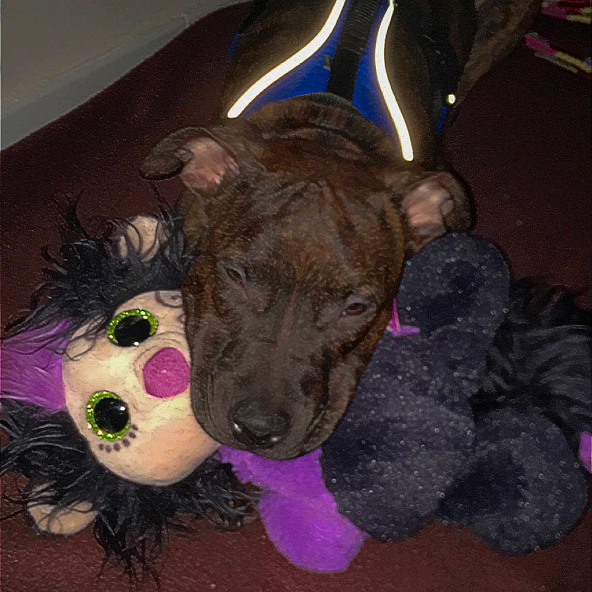 Nala