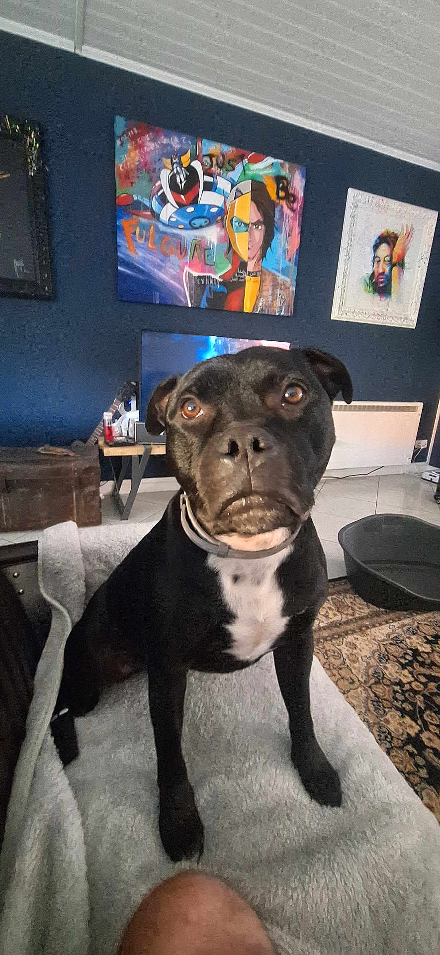 Scooby Doo
