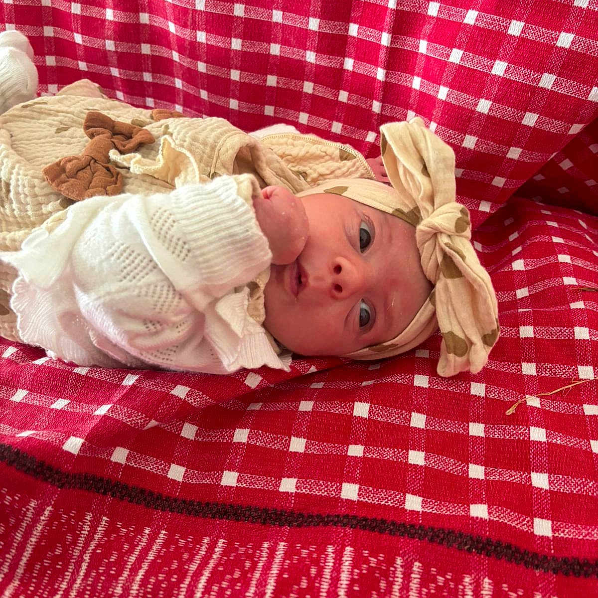 Suzanne a rejoint le concours — aidez-le/la à gagner de superbes lots ! baby, blanket, bow, checkered, child, clothing, cozy, cute, fabric, face, fist, headband, infant, lying_down, newborn, portrait, red, soft_texture, white, wide_eyes