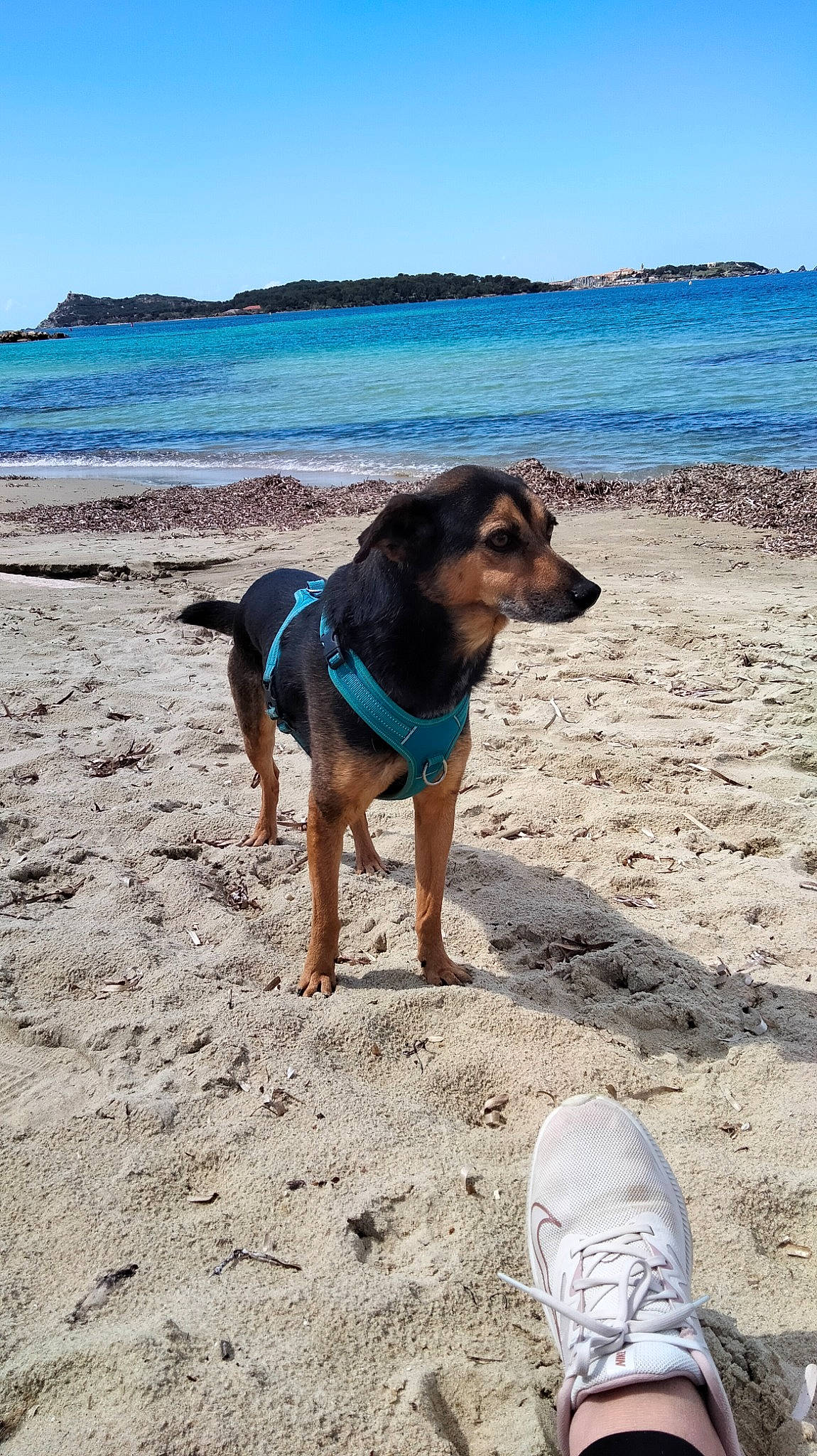 Marquise De La Réunion