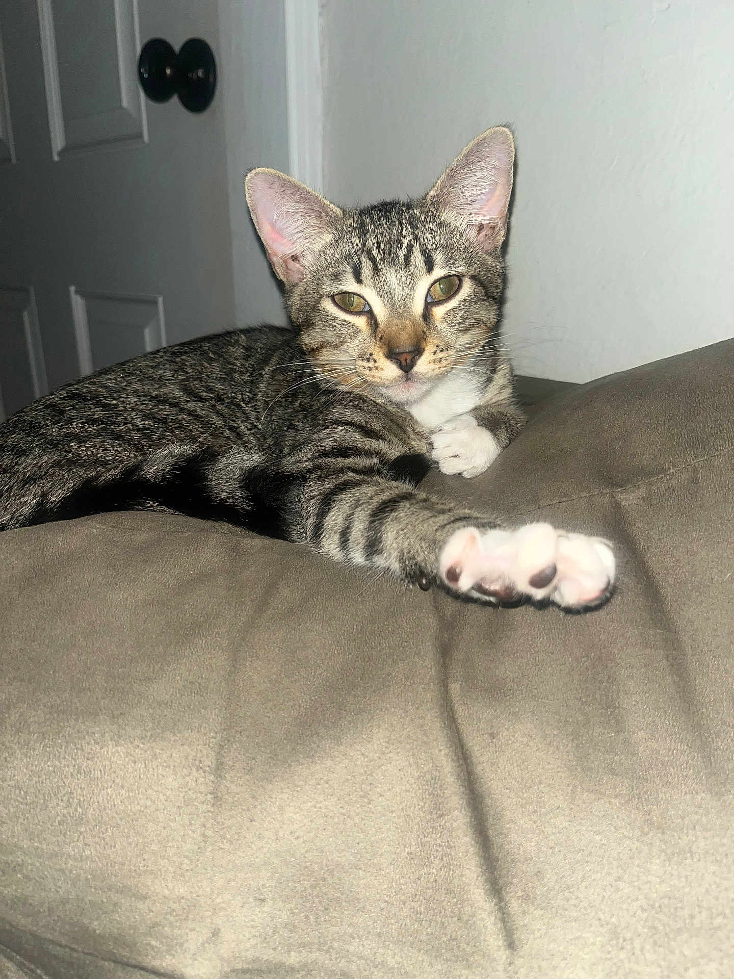 Remus