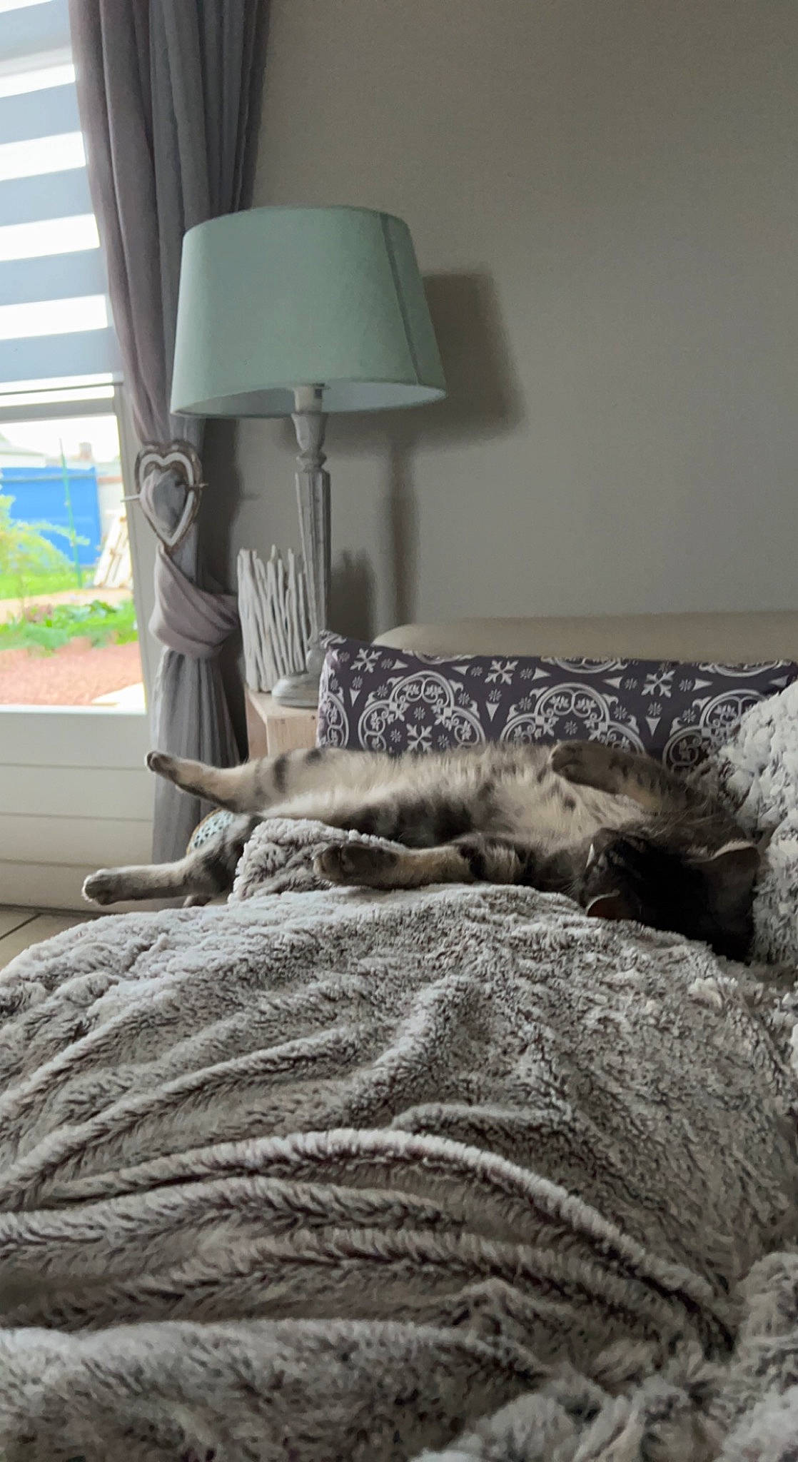 Omaley participe au concours pour gagner de l'argent avec cette photo : bed, bed_frame, bedding, bedroom, comfort, felidae, floor, flooring, grey, hardwood, house, human_leg, lamp, linens, living_room, room, shade, textile, tints_and_shades, wood