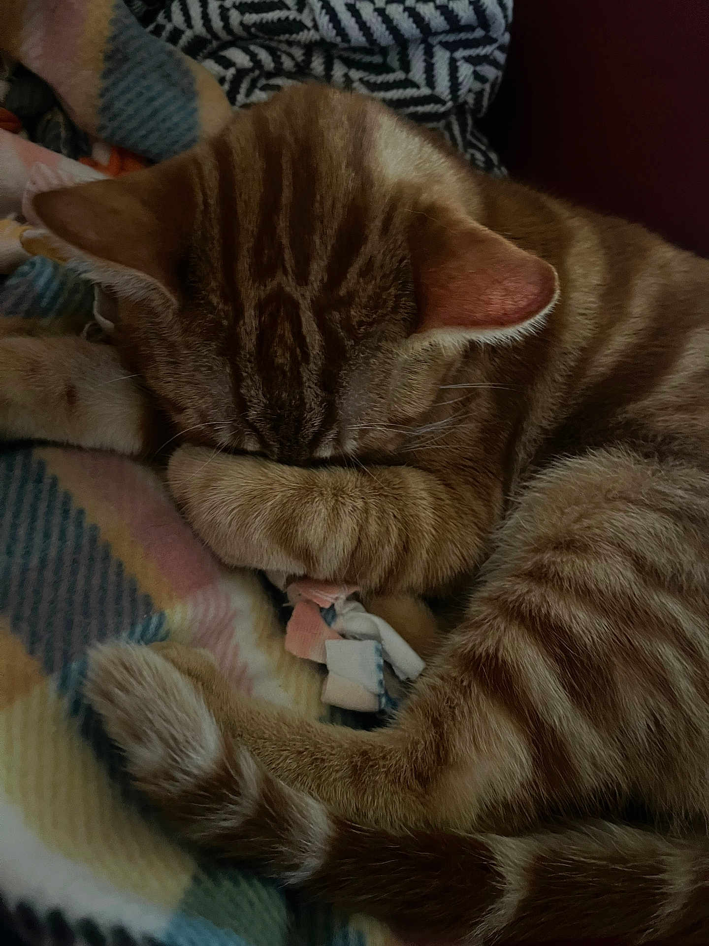 Jj