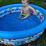 baby, blue, child, cute, diaper, grass, green, happy, inflatable_pool, outdoor, pacifier, play, pool, sitting, splashing, summer, sunlight, toy, water, young