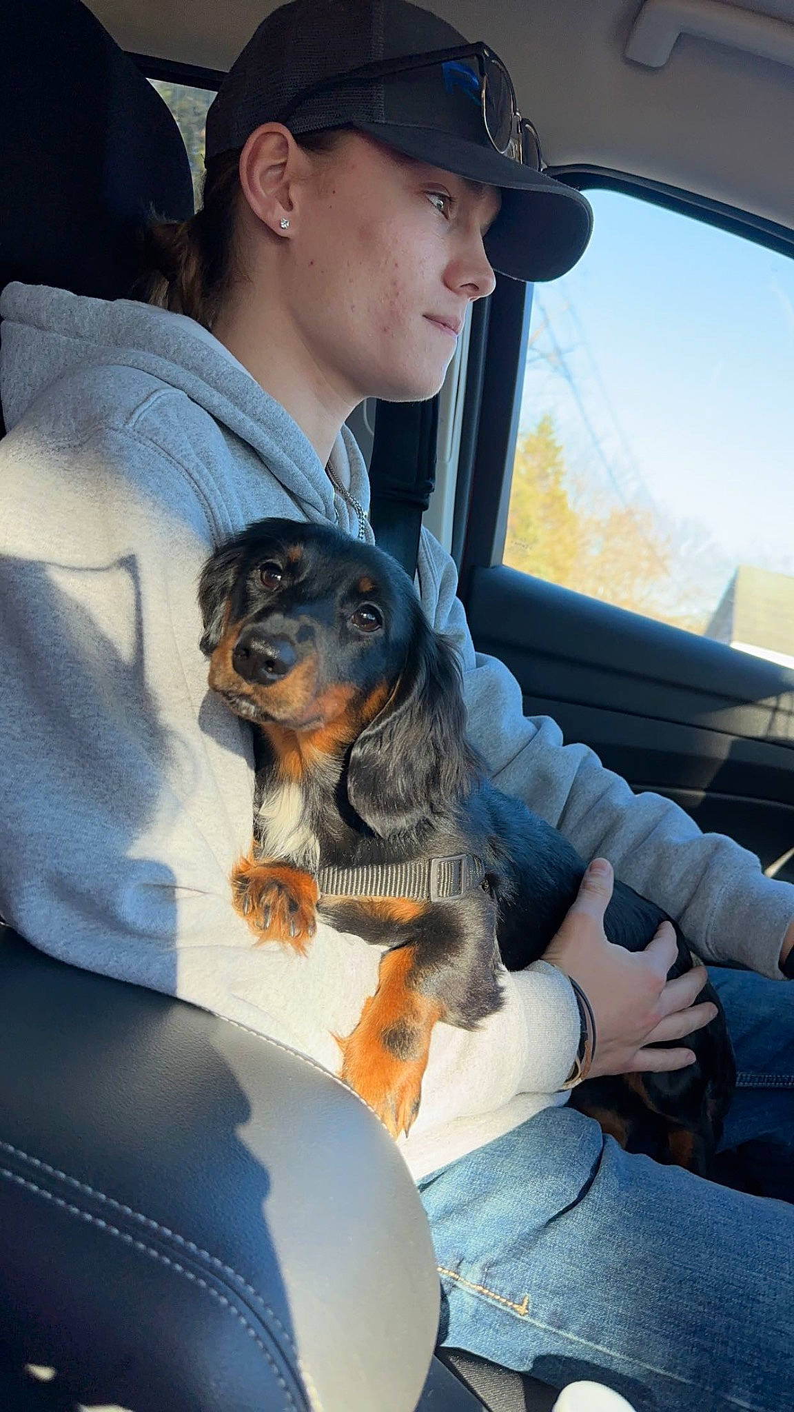 Arlo is registered to the contest to win money with this photo: automotive_exterior, baseball_cap, blue, car_seat, car_seat_cover, carnivore, companion_dog, dog, dog_breed, eyewear, family_car, gesture, hat, head_restraint, sky, steering_wheel, sunglasses, vehicle, vehicle_door, window