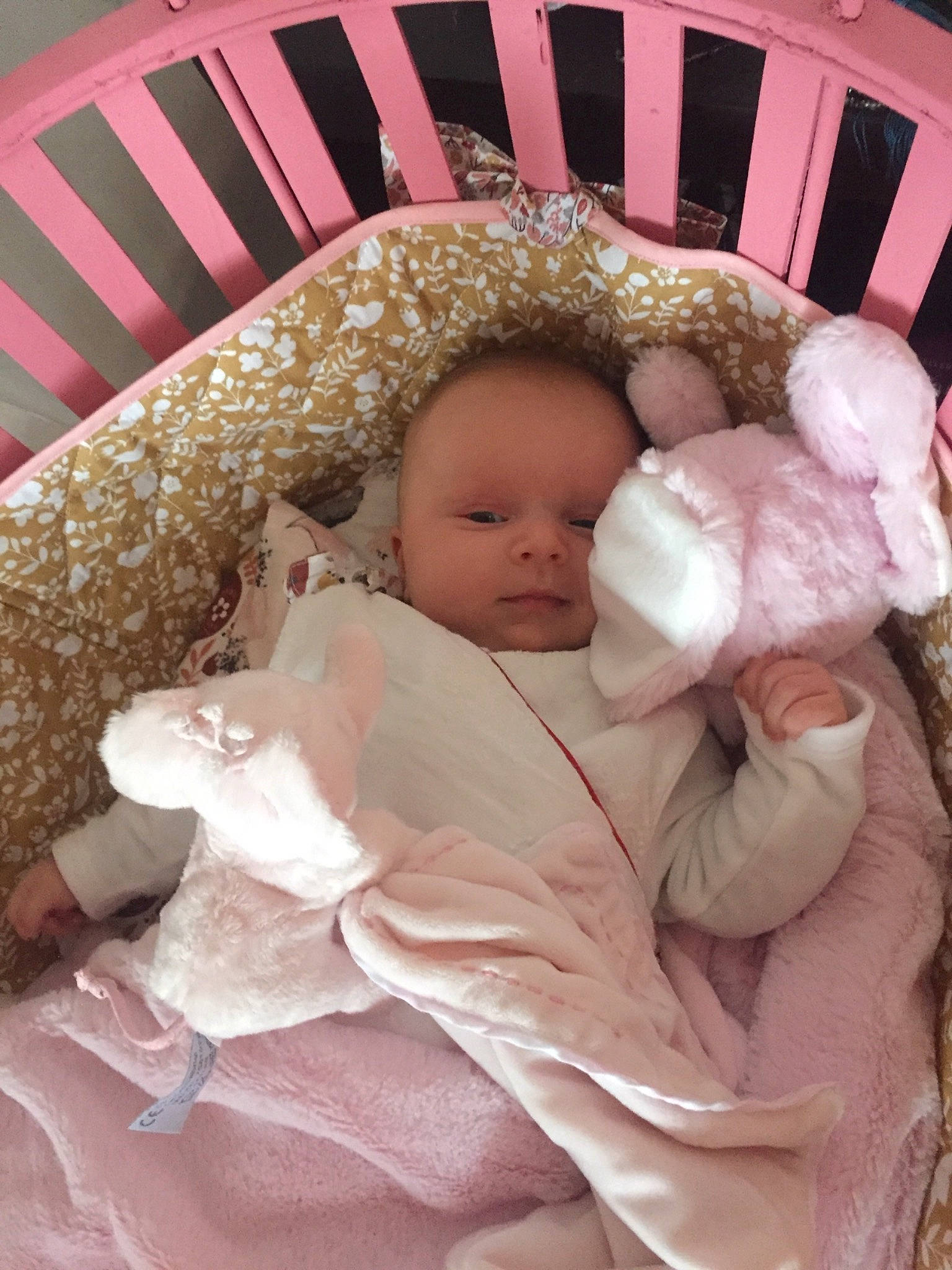 Savannah a rejoint le concours — aidez-le/la à gagner de superbes lots ! baby, baby_products, baby_safety, baby_sleeping, baby_toddler_clothing, bed, bedding, bedtime, cheek, comfort, cradle, face, finger, head, headgear, infant_bed, linens, person, pink, skin