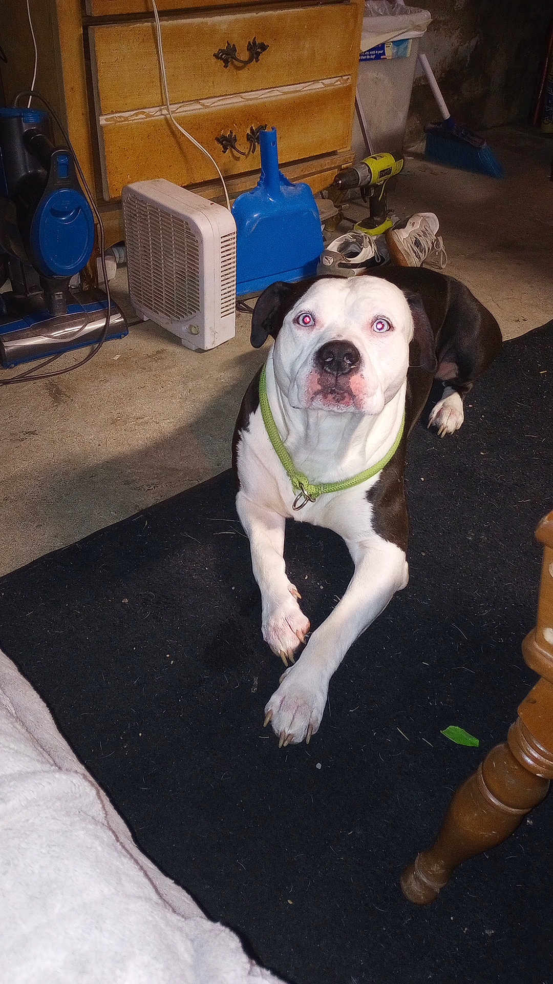 Jax