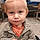 Tristen