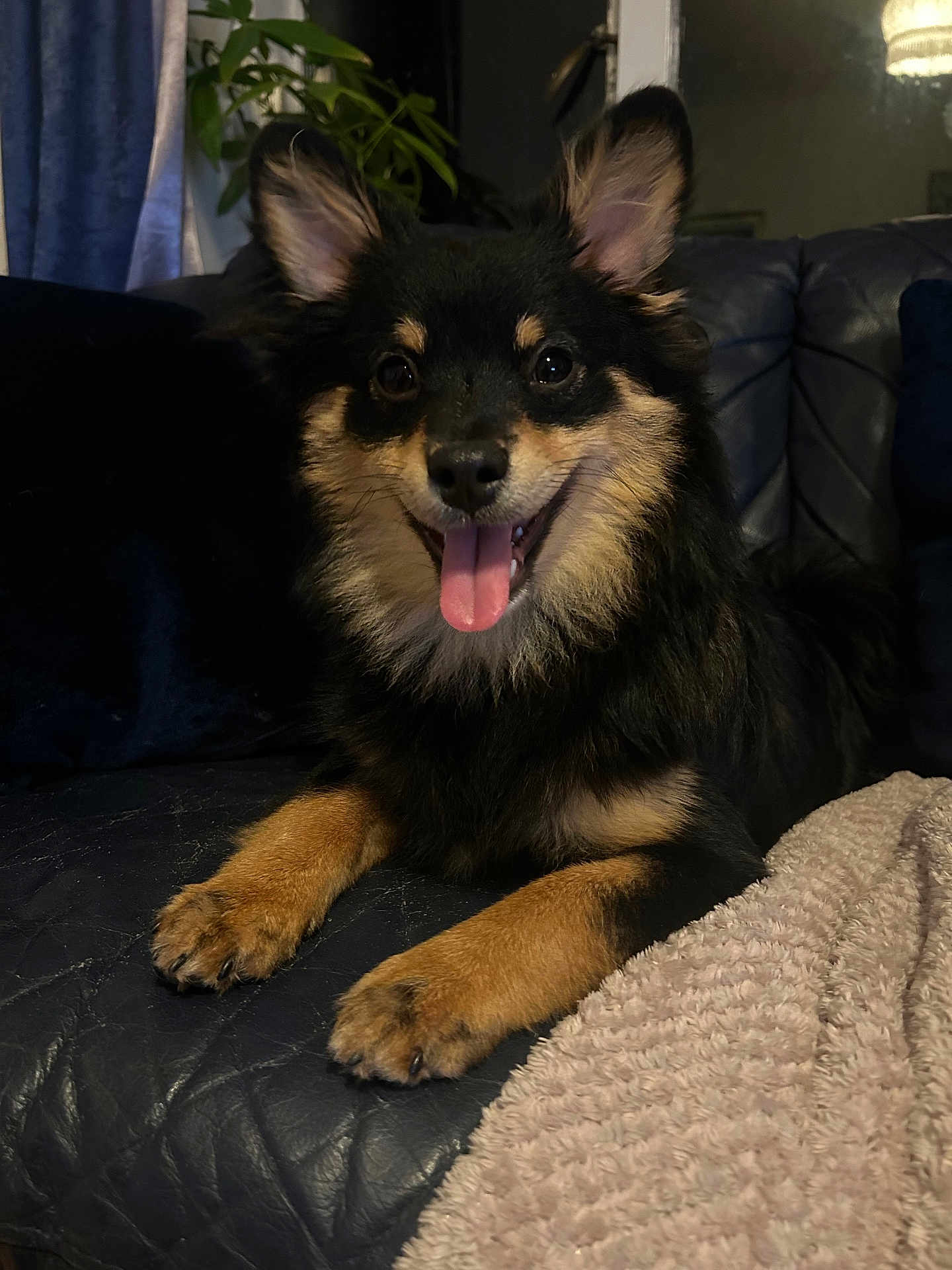 Bruno