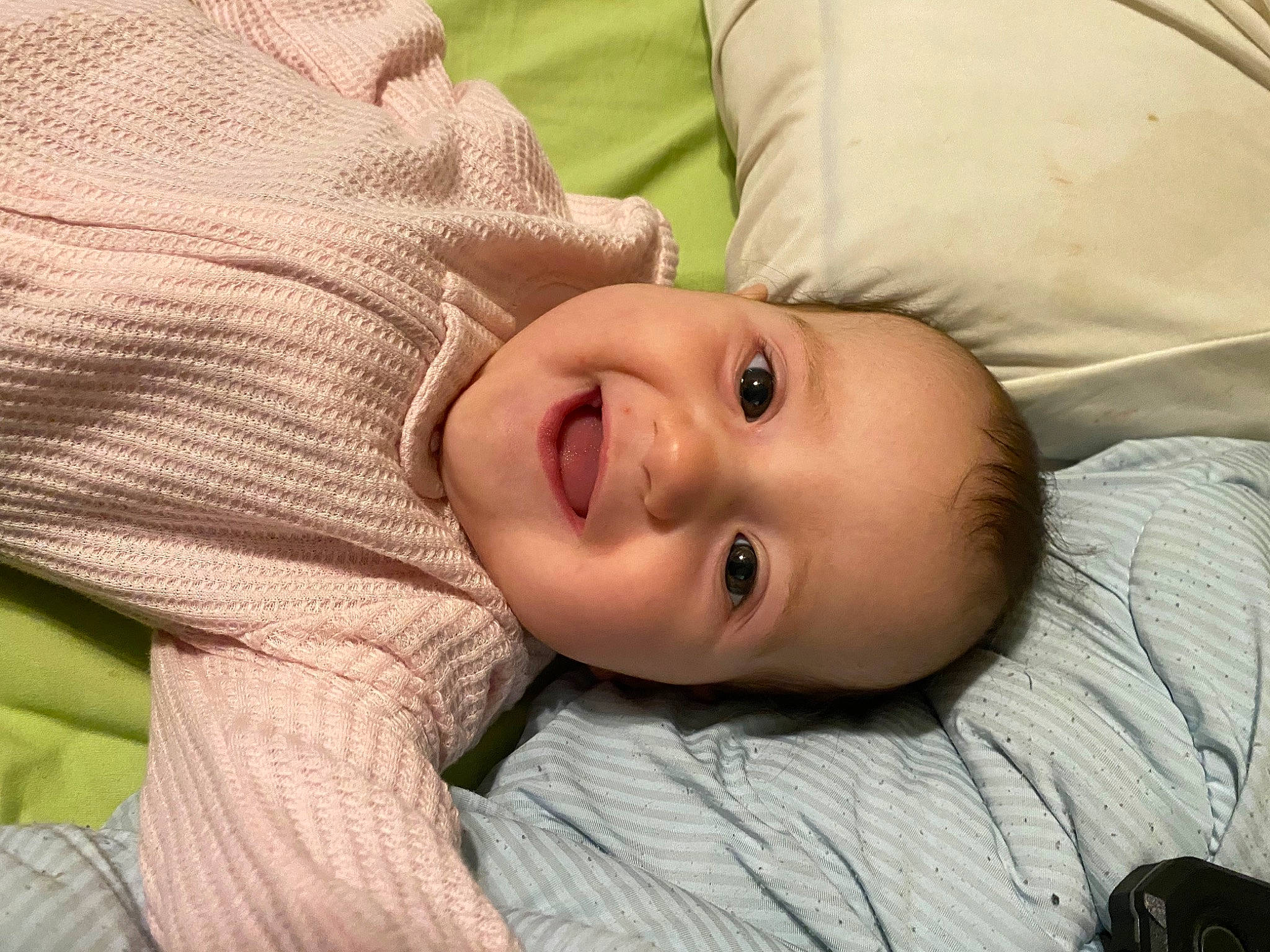 Evangeline is registered to the contest to win money with this photo: baby, baby_toddler_clothing, cheek, child, comfort, eyebrow, eyelash, fur, grass, happy, iris, joy, lip, nose, person, portrait_photography, sitting, skin, sleeve, smile