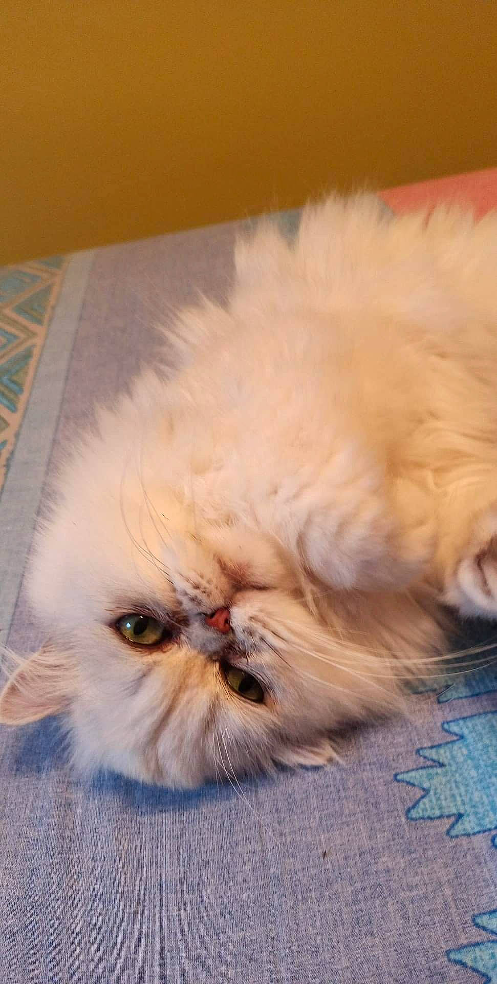 Maïki