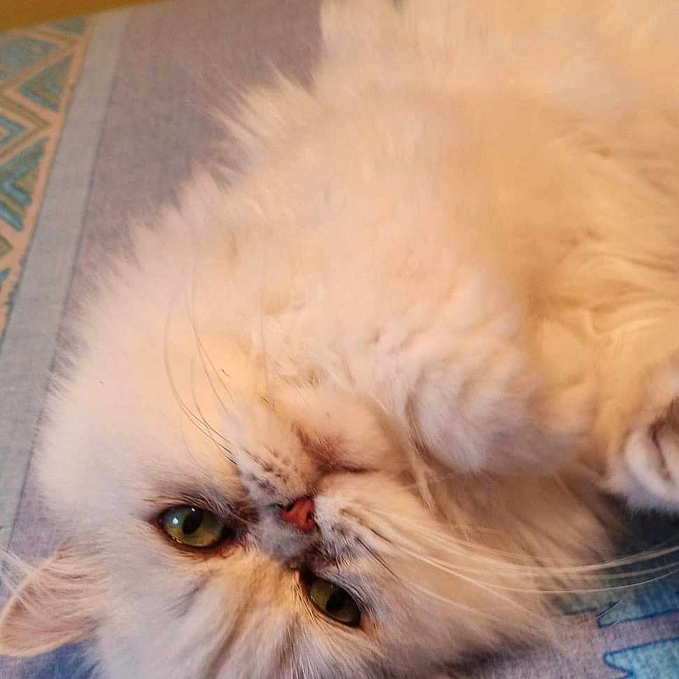 Maïki