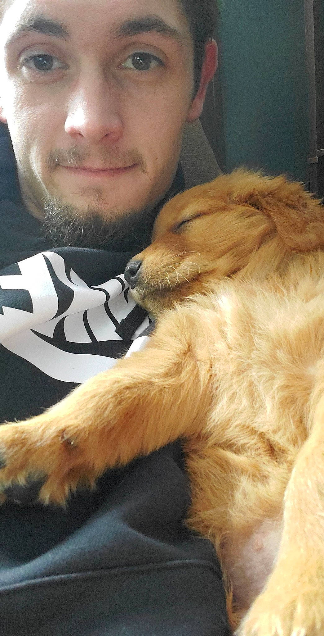 Enzo joined the competition — help win amazing prizes! beard, canidae, carnivore, companion_dog, dog, dog_breed, ear, eyewear, facial_hair, fawn, fur, liver, moustache, paw, photography, selfie, snout, sporting_group, whiskers