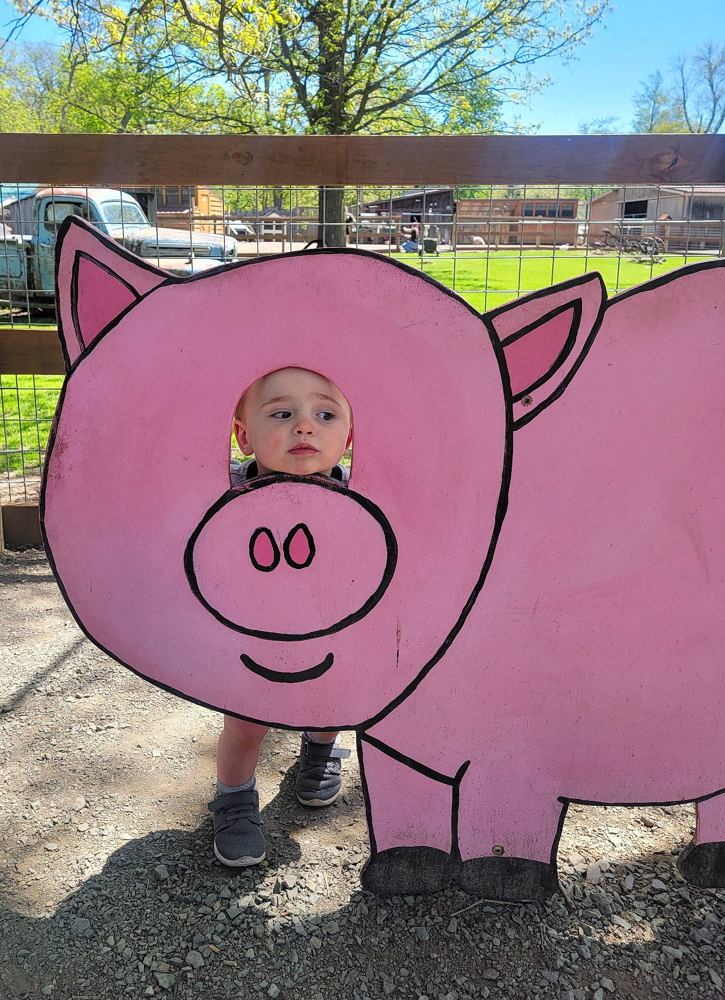 Kol joined the competition — help win amazing prizes! art, cartoon, child_art, circle, domestic_pig, drawing, font, grass, happy, headwear, magenta, mammal, nose, person, pink, purple, signage, sky, snout, tree