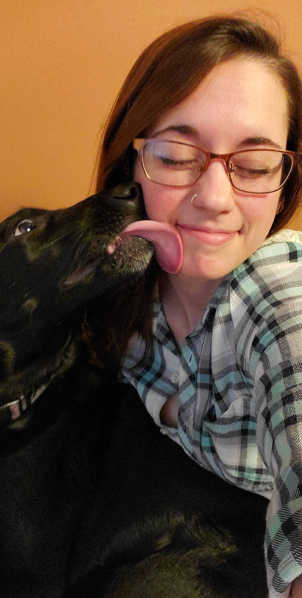 Marley Mae joined the competition — help win amazing prizes! carnivore, companion_dog, dog, dog_breed, ear, eyewear, gesture, glasses, happy, jaw, liver, long_hair, mouth, nose, organ, plaid, smile, tartan, vision_care, whiskers