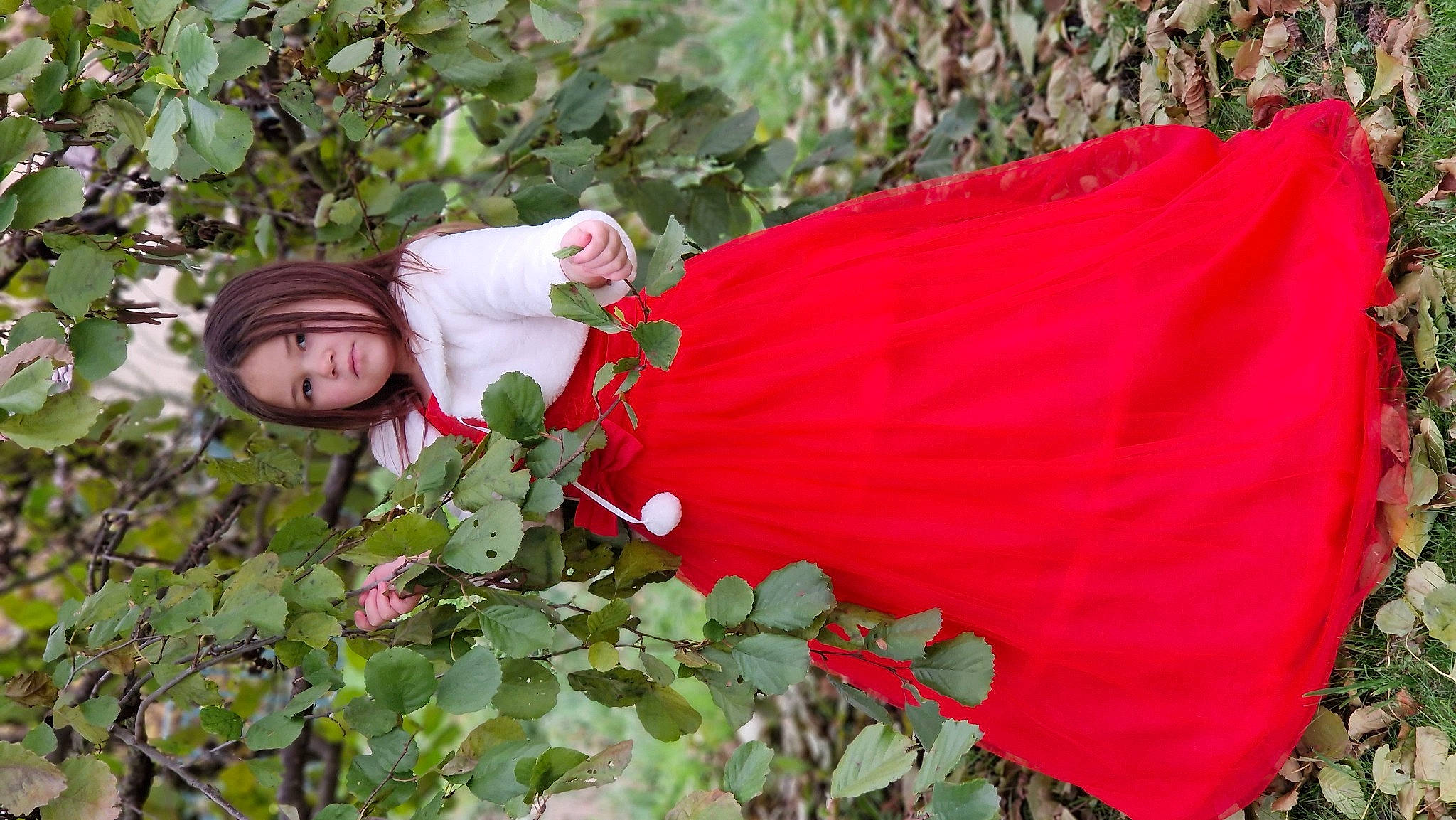 Camille participe au concours pour gagner de l'argent avec cette photo : annual_plant, carmine, coquelicot, floral_design, flower, flowering_plant, garden, grass, happy, hat, leaf, magenta, malvales, people_in_nature, person, petal, plant, plant_stem, rose_family, shrub