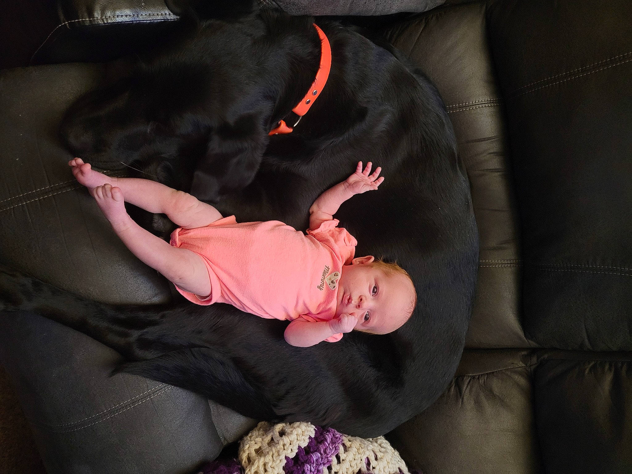 Korra is registered to the contest to win money with this photo: baby, baby_products, baby_toddler_clothing, comfort, couch, darkness, dress, flash_photography, foot, human_body, human_leg, knee, lap, magenta, person, pink, purple, sitting, thigh, toddler