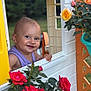 baby, child, cute, daylight, face, flowers, garden, greenery, happy, leaf, nature, outdoor, plant, playhouse, portrait, purple_clothing, roses, smiling, toy, window