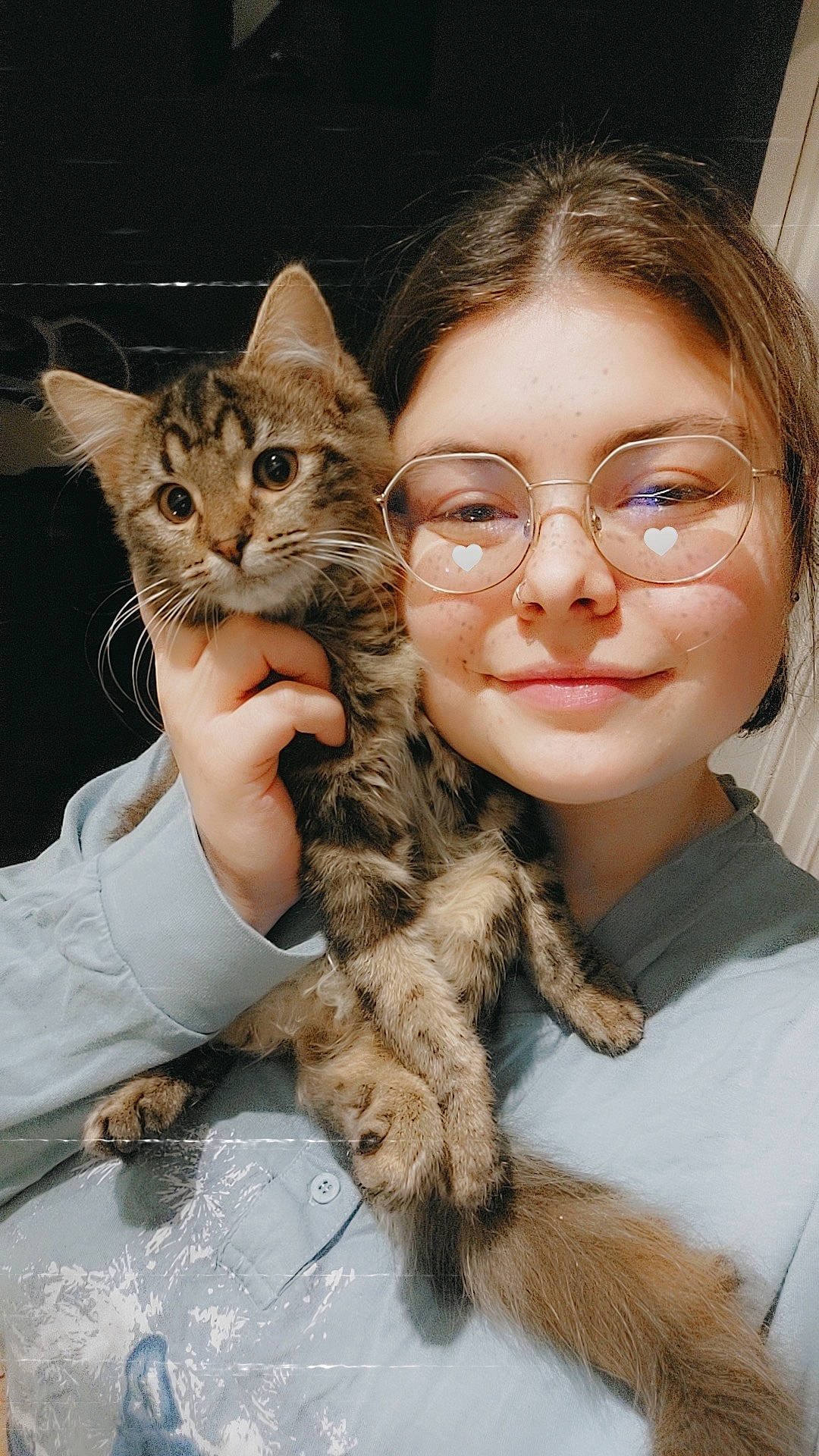 Bulma a rejoint le concours — aidez-le/la à gagner de superbes lots ! brown_hair, carnivore, cat, claw, domestic_short_haired_cat, eyewear, fawn, felidae, fur, glasses, happy, mammal, small_to_medium_sized_cats, smile, terrestrial_animal, vertebrate, vision_care, whiskers, wildlife, wildlife_biologist