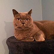 Autumn joined the competition — help win amazing prizes!