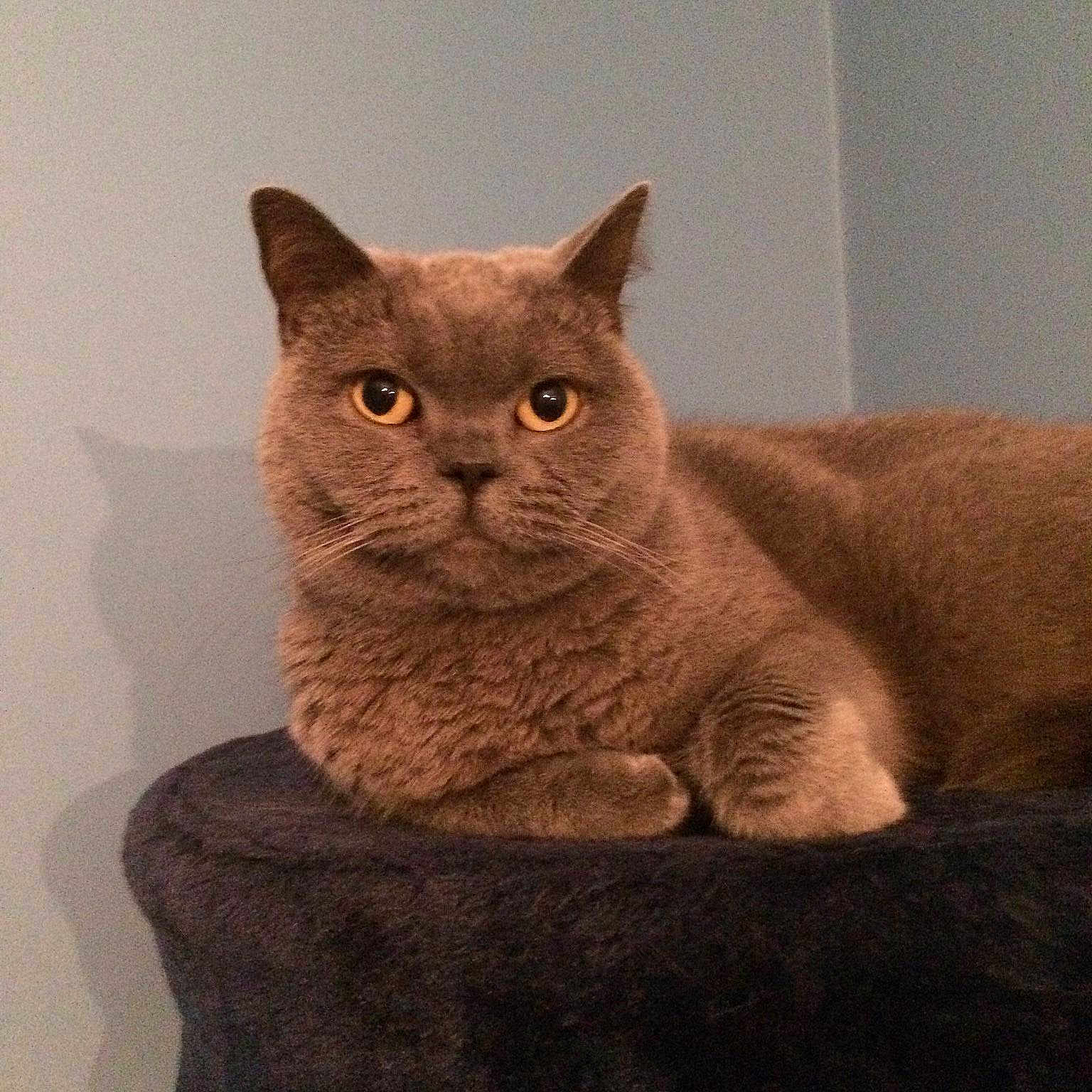 Autumn joined the competition — help win amazing prizes!