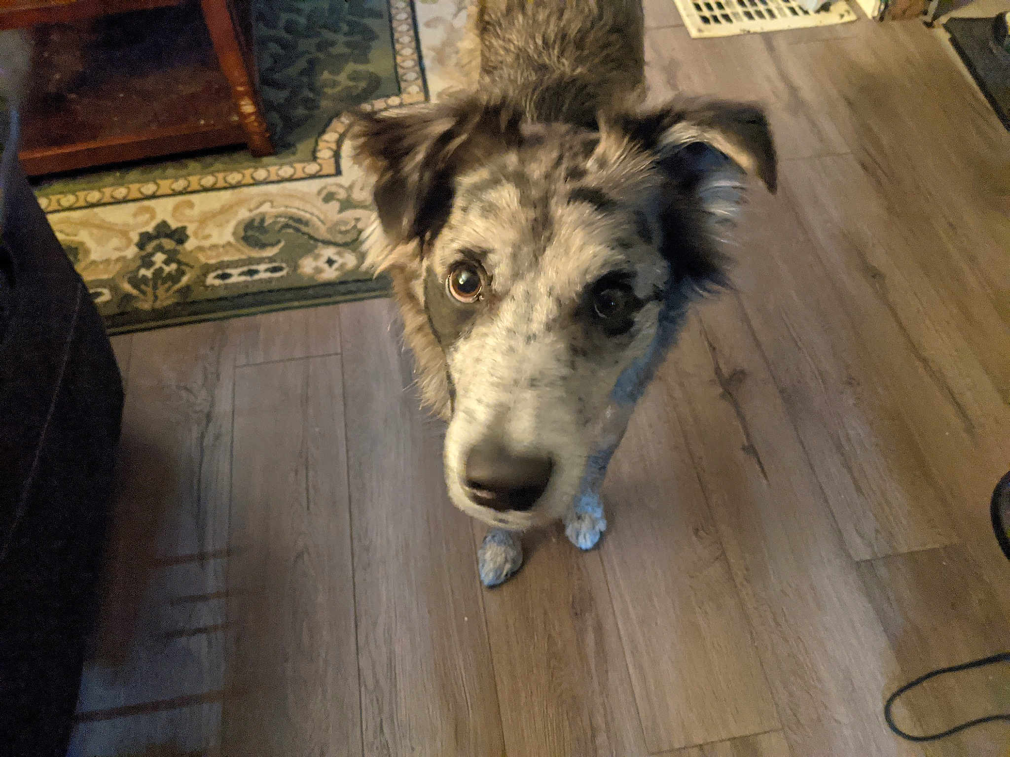 Skylar