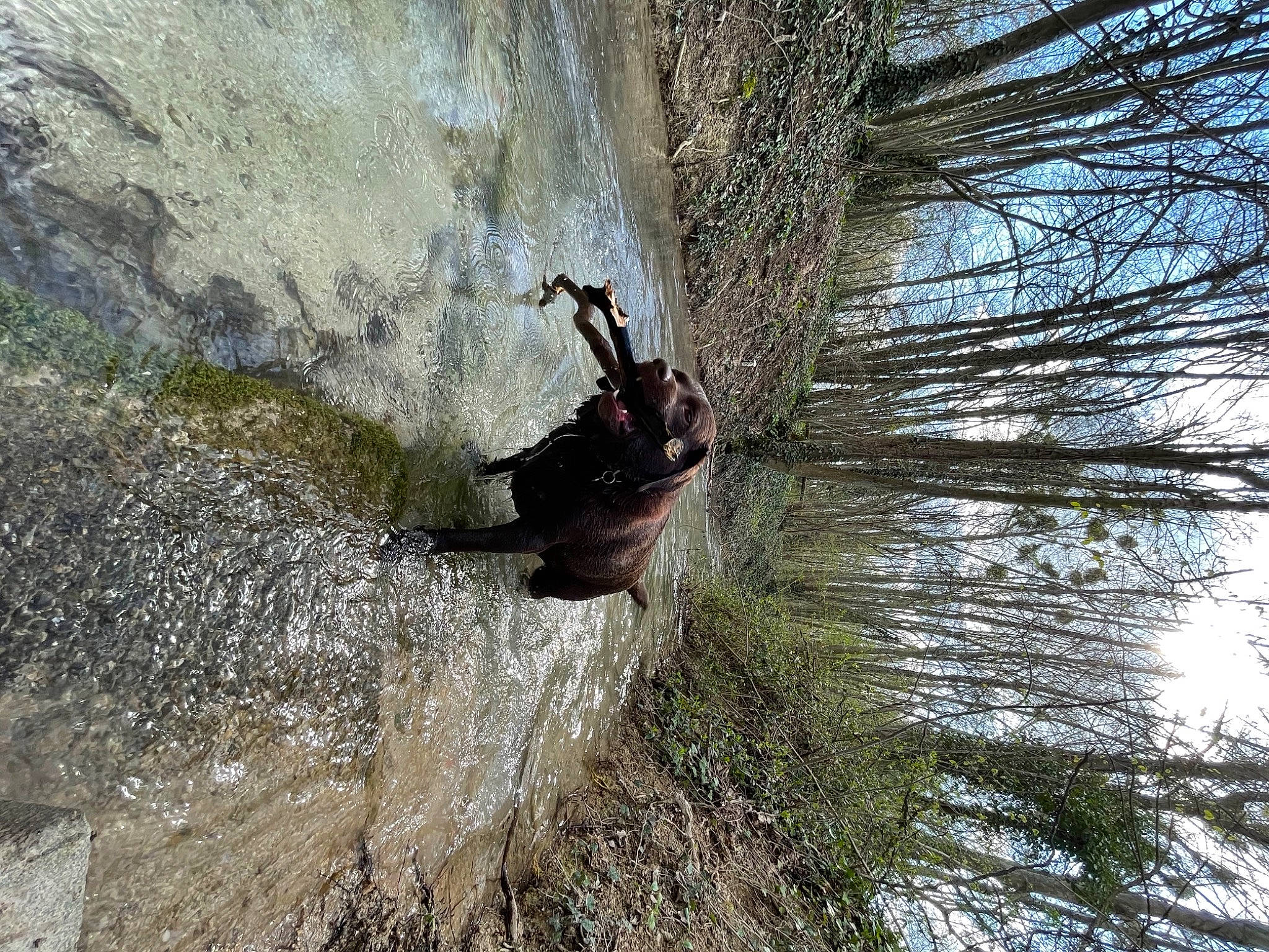 Loustic a rejoint le concours — aidez-le/la à gagner de superbes lots ! adventure, bedrock, climbing, climbing_harness, extreme_sport, formation, grass, mountaineer, outcrop, people_in_nature, plant, recreation, rock_climbing_equipment, rope, sky, sport_climbing, tree, trunk, twig, wood