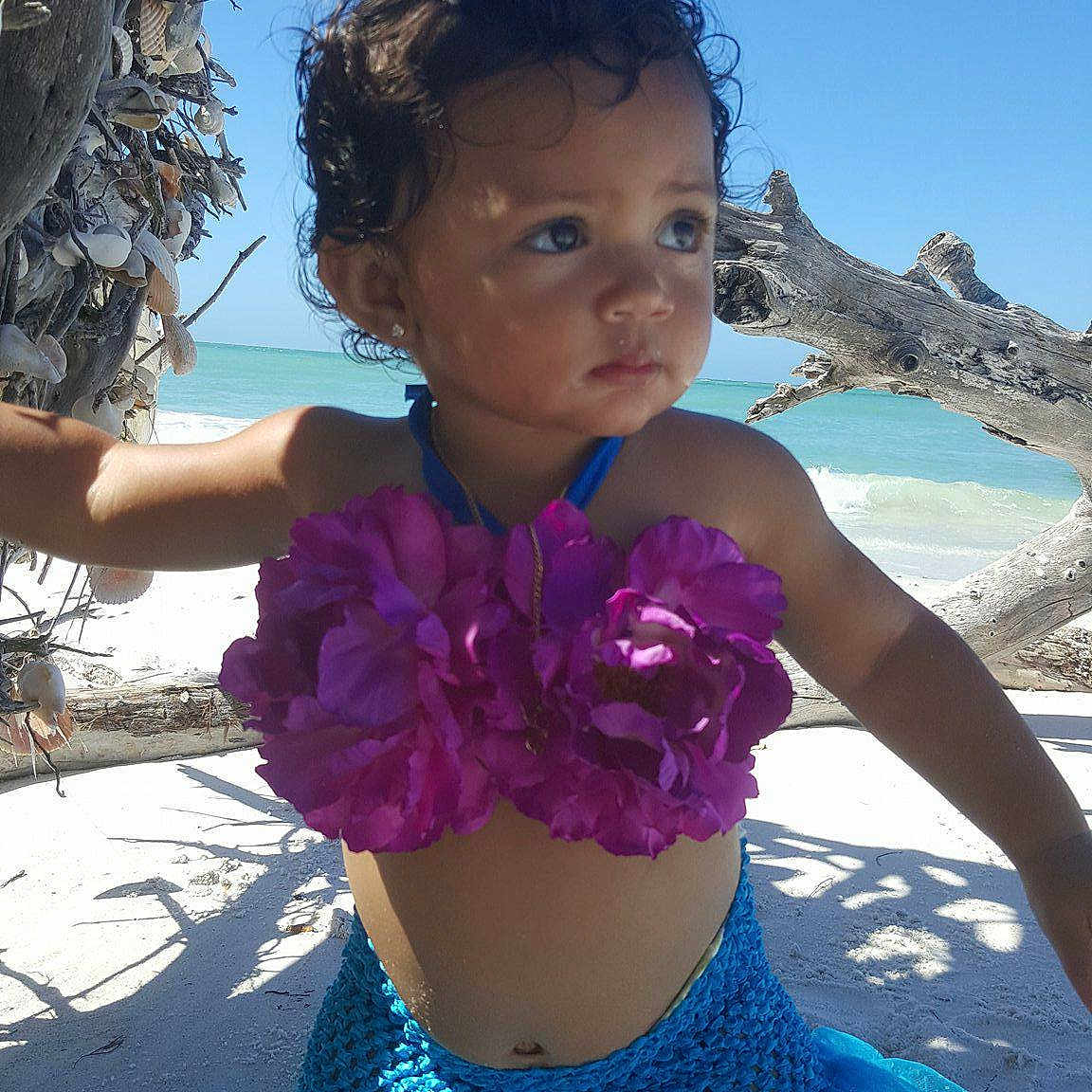 Araceli