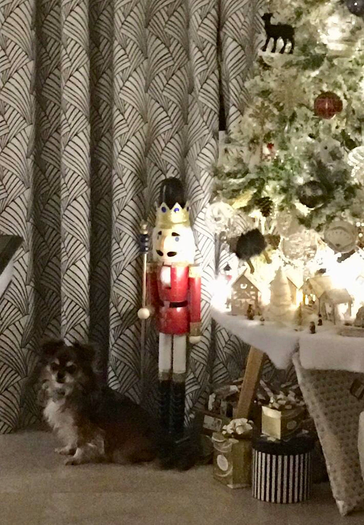 Lenny participe au concours pour gagner de l'argent avec cette photo : christmas, christmas_decoration, christmas_ornament, christmas_tree, companion_dog, dog, dog_breed, dog_supply, event, fawn, holiday, holiday_ornament, interior_design, ornament, plant, toy, toy_dog, tree, window, wood